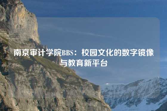 南京审计学院BBS：校园文化的数字镜像与教育新平台