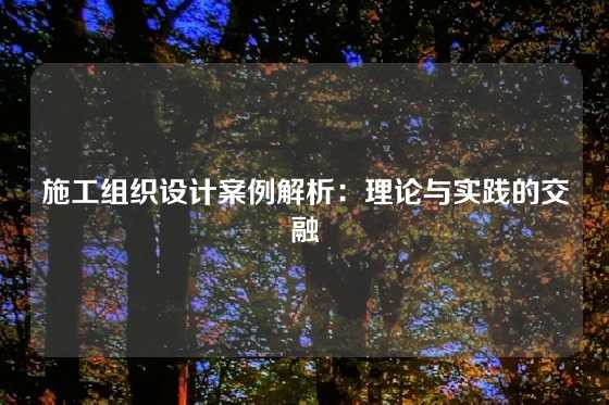 施工组织设计案例解析：理论与实践的交融