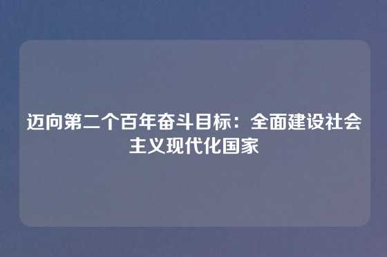 迈向第二个百年奋斗目标:全面建设社会主义现代化国家