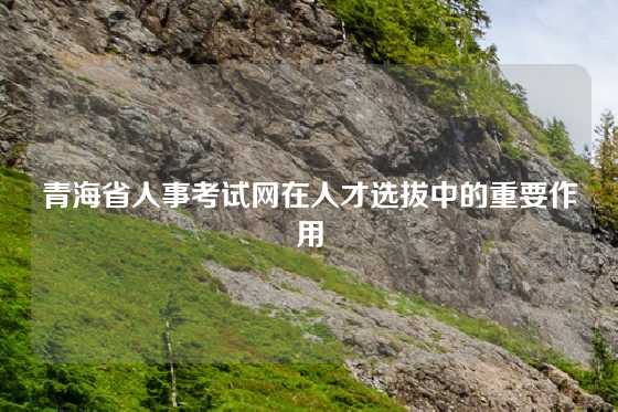 青海省人事考试网在人才选拔中的重要作用