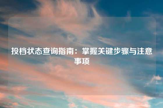 投档状态查询指南:掌握关键步骤与注意事项