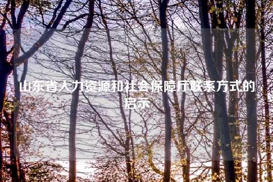 山东省人力资源和社会保障厅联系方式的启示