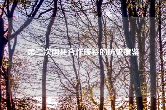第二次国共合作破裂的历史镜鉴