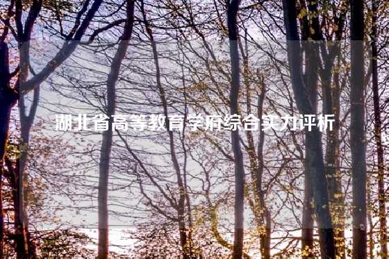 湖北省高等教育学府综合实力评析