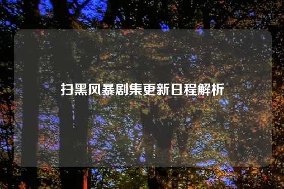 扫黑风暴剧集更新日程解析