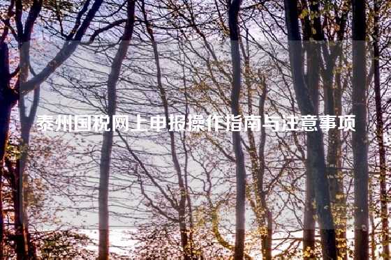泰州国税网上申报操作指南与注意事项